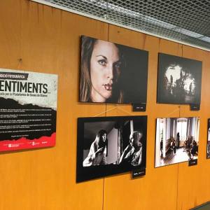 Exposició Sentiments a la Biblioteca del Campus de Monitlivi