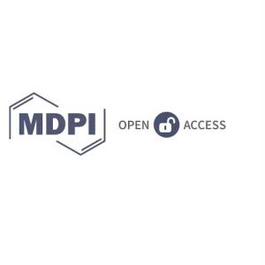 Taller MDPI i el futur de l'accés obert