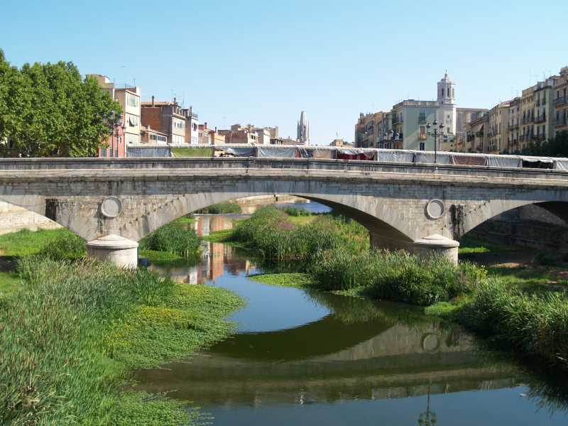 Hidòfits invasors a Girona