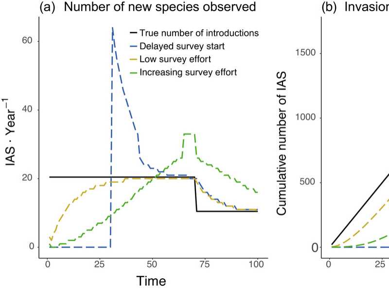 Simulation showing how varying survey effort for invasive alien species (IAS) produces different patterns of new species observations (a, number per year), and invasion trends (b, cumulative introduct