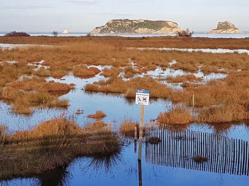 Permanent Water bodies of La Pletera Salt Marsh