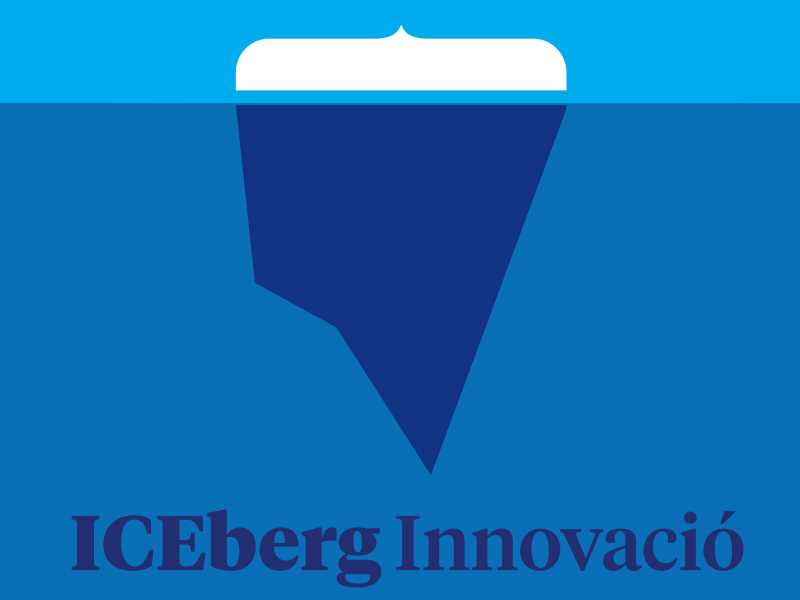 Resolució Premi ICEberg