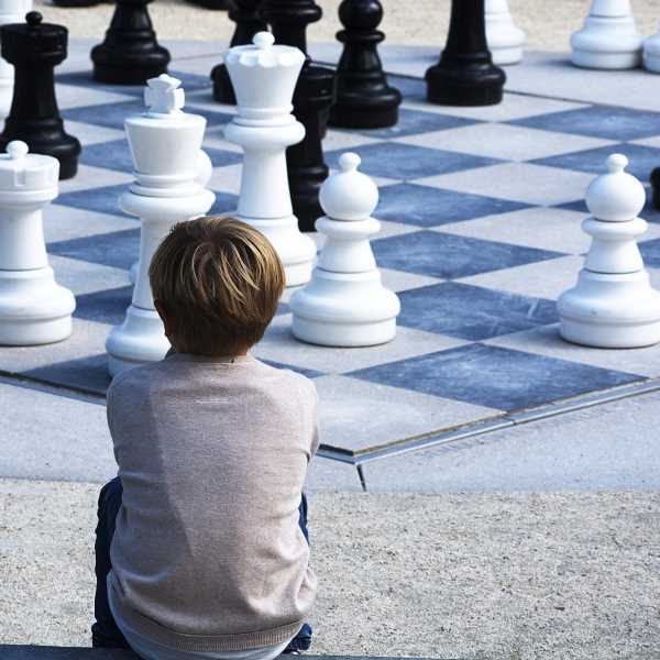 jornada escacs