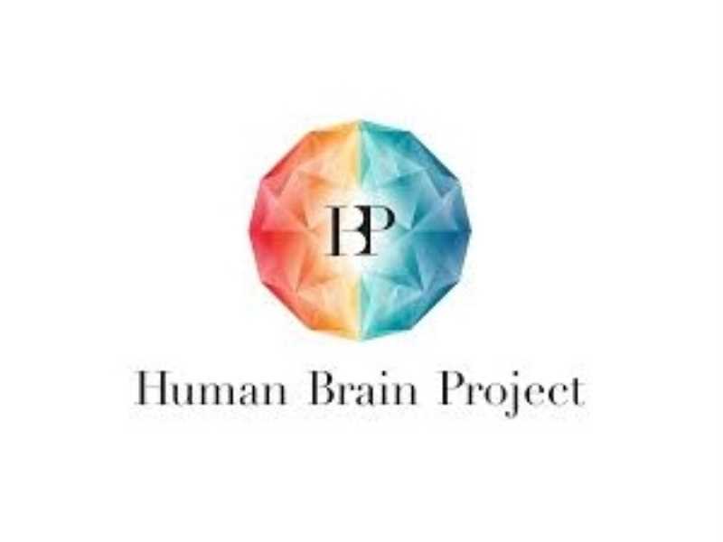 human brain project