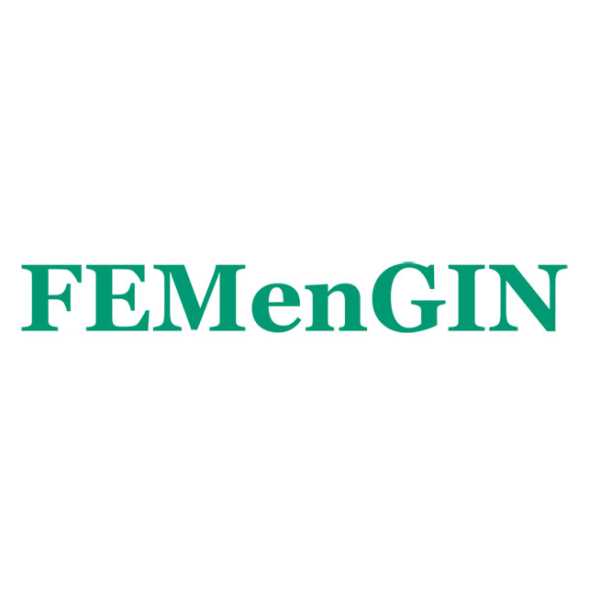 logo FEMenGIN