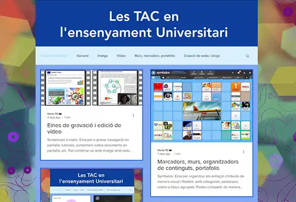 Web de Les TAC en l'ensenyament Universitari