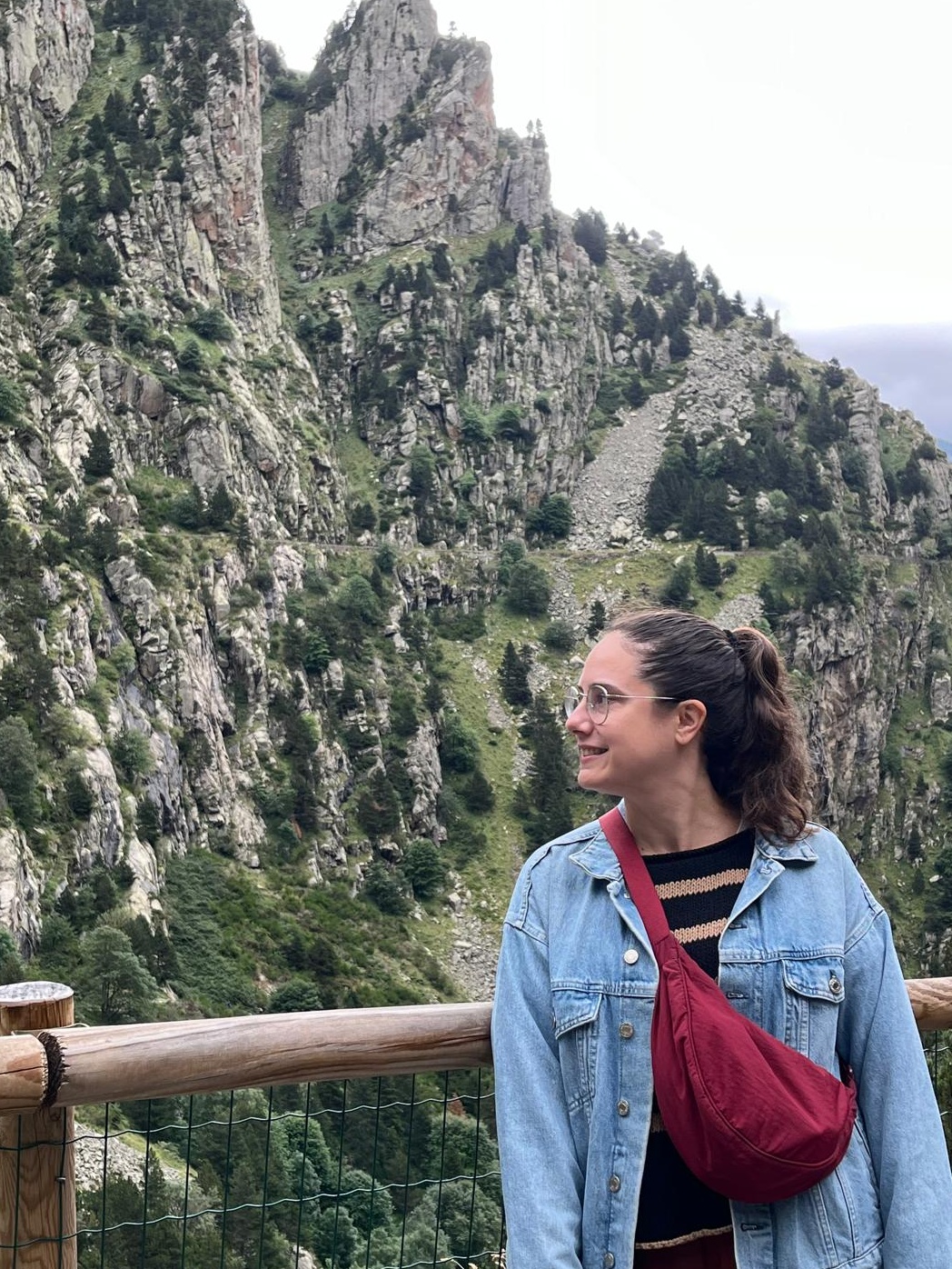 Varo Barranco, Anais