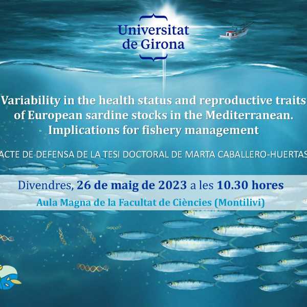 Tesi doctoral:   Variability in the health status and reproductive traits of European sardine stocks in the Mediterranean. Implications for fishery management. Marta Caballero
