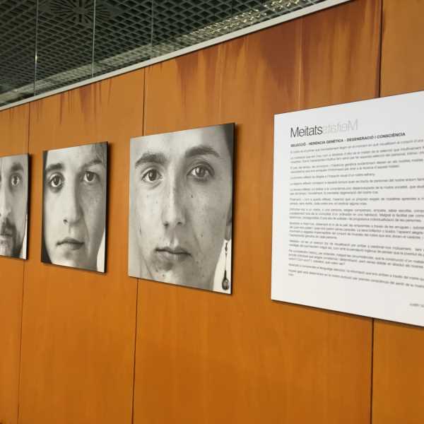 Exposició Biblioteca UdG