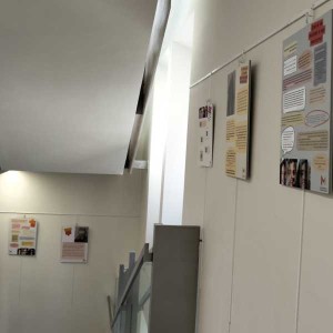 Exposició