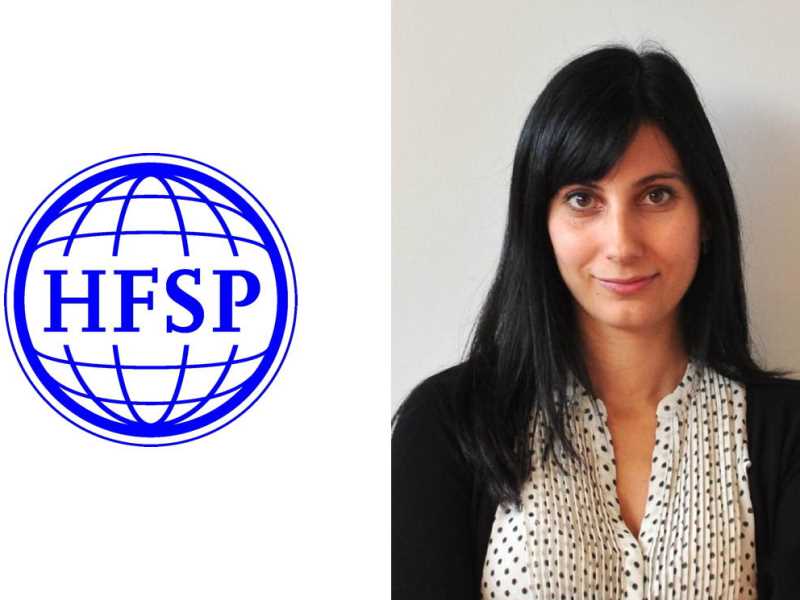 HFSP projecte
