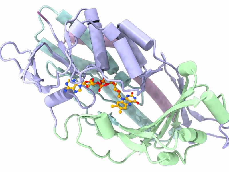 Desenvolupar enzims de nova generació per permetre materials reciclables i impulsar la transició cap a una economia circular.