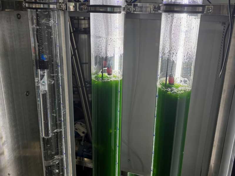Imatge del Bioreactor del projecte ALGAESOL