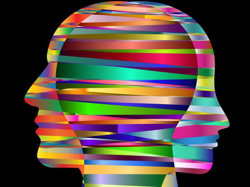 Imatge de Gordon Johnson extreta de la pàgina Pixabay.