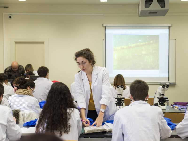 Estudiants en una classe del grau en Medicina