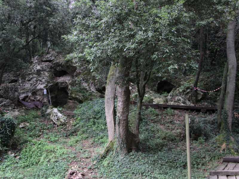 Cova de Mollet III, al jaciment de Serinyà.