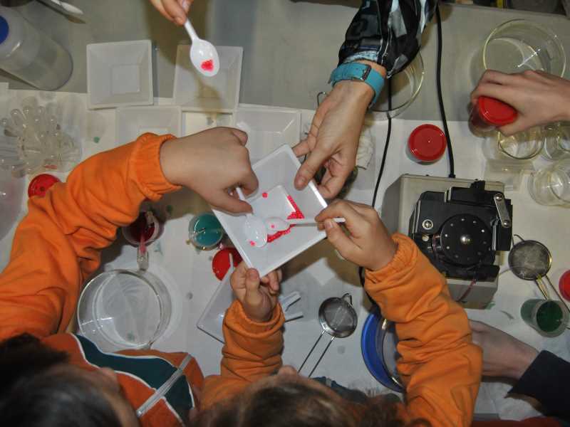 Taller divulgatiu d’una edició anterior, amb activitat presencial