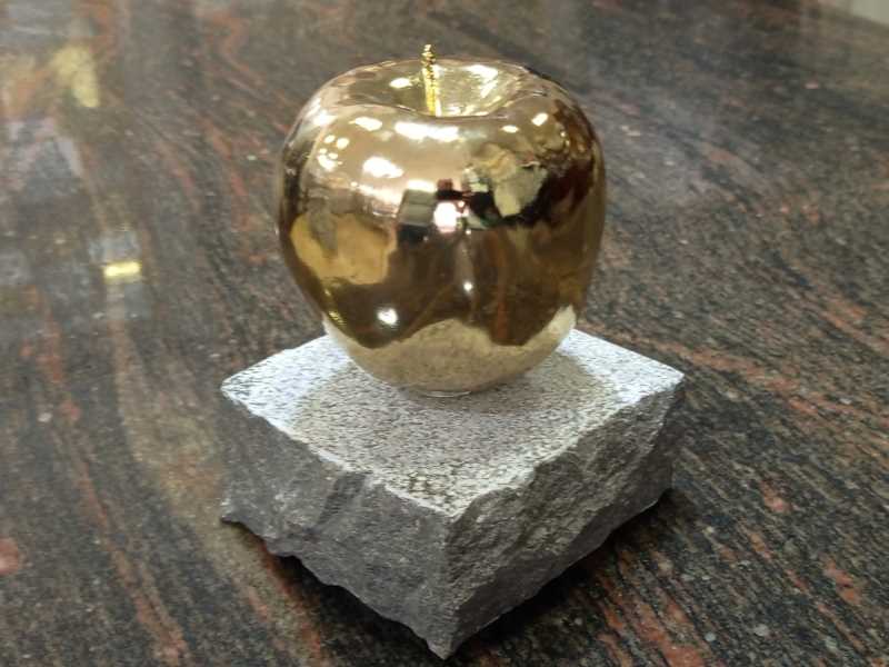 Guardó dels premis Mestres 68.