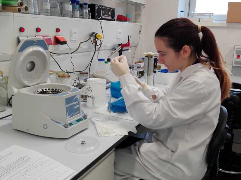 Investigadora del Laboratori d’Ictiologia Genètica treballant en l’anàlisi genètic de la gamba vermella
