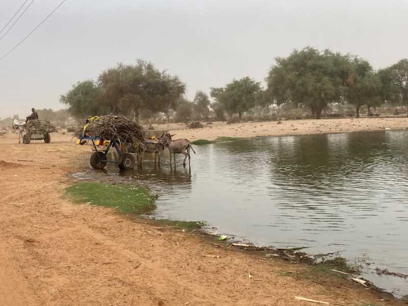 L’accés a l’aigua és un privilegi a molts indrets del Senegal.