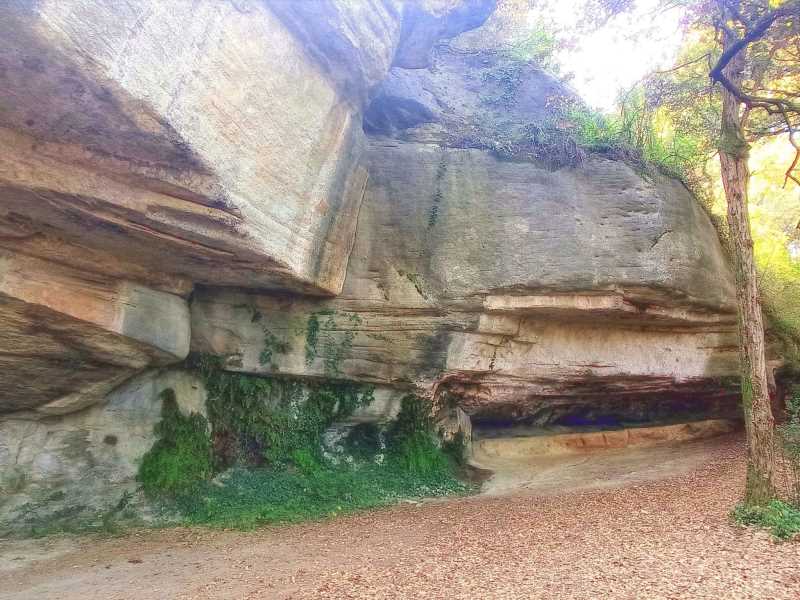 Baumes de la font de la Baronessa, Espai Natural Guilleries-Savassona. Autor: David Soler/Càtedra de l'Aigua, Natura i Benestar