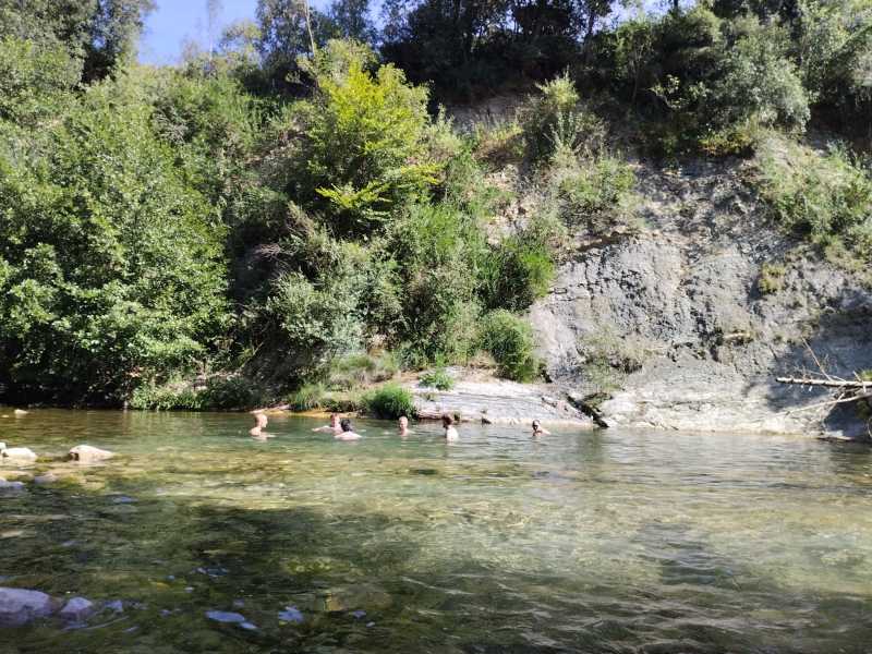 Sortida de camp a Albanyà