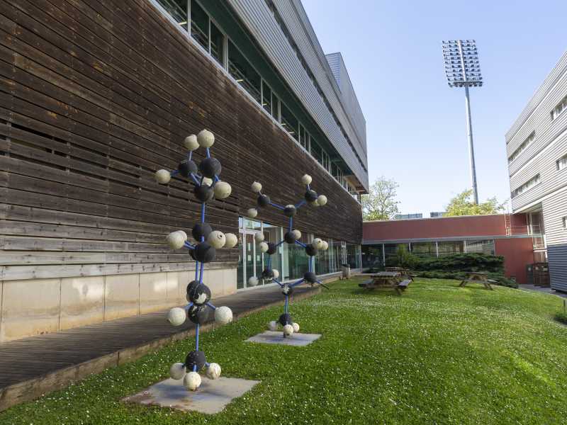 Imatge d'arxiu de la Facultat de Ciències de la UdG