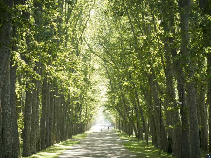 Imatge de la ciutat de Girona