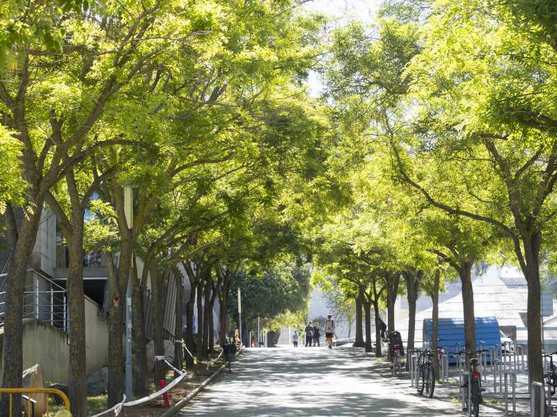 Imatge del Campus de Montilivi.