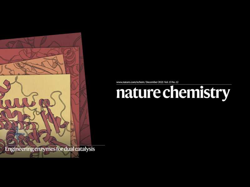 Un detall de la portada de l'edició de desembre de Nature Chemistry, on s'inclou l'avenç científic que compta amb la participació de la UdG