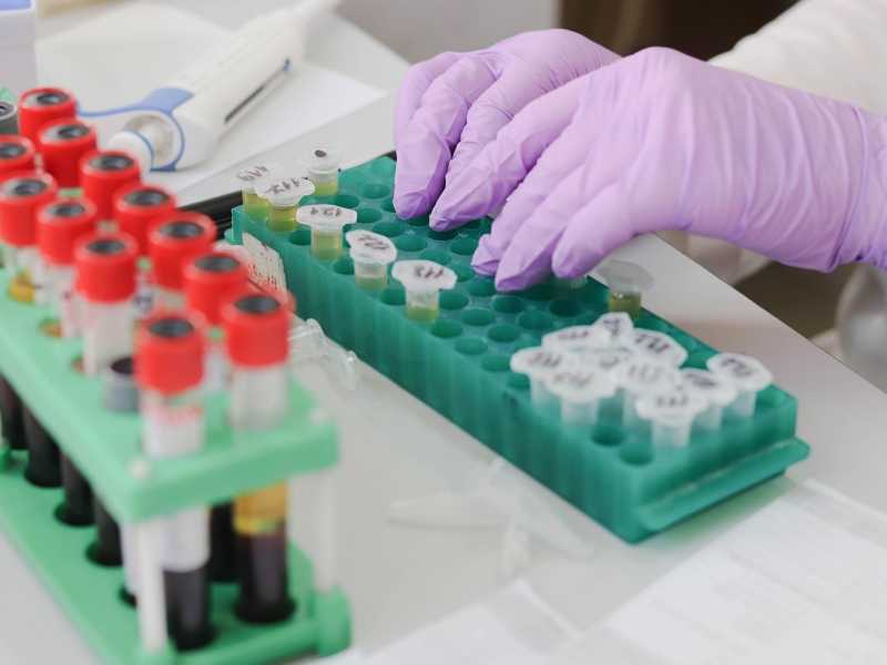 Imatge de Tatiana extreta de Pixabay