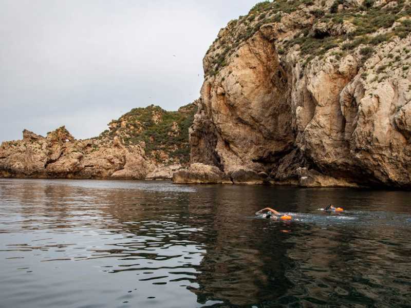 Una imatge de l'edició 2018 de l'Oncoswim