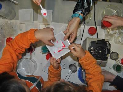 Taller divulgatiu d’una edició anterior, amb activitat presencial