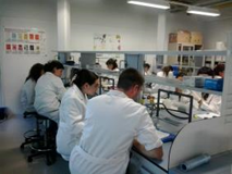 Pràctiques en laboratoris