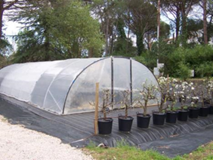 Parcel·la de pràctiques