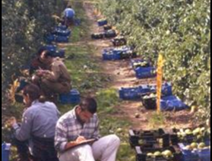 Campus agroalimentari