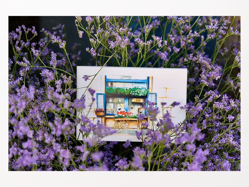 Postal amb il·lustració de l'aparador d'una botiga, col·locada entremig d'unes flors liles