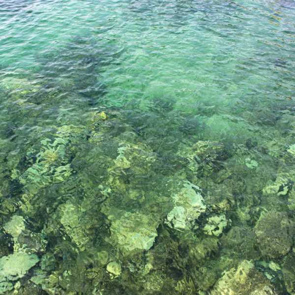 oceans