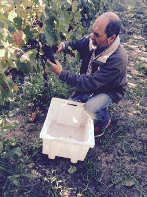  Fotografia de Dr. Josep Maria Serra Bonet