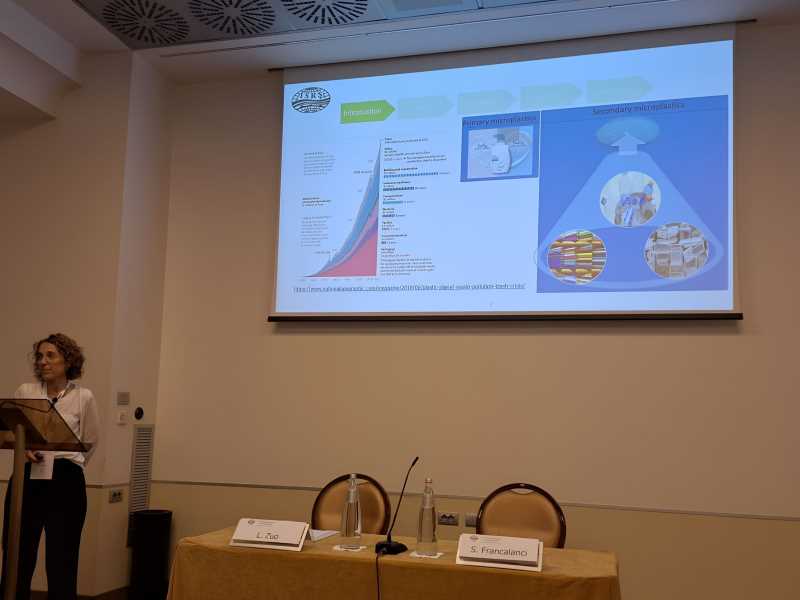 Dr. Teresa Serra's presentation at ISRS 2023