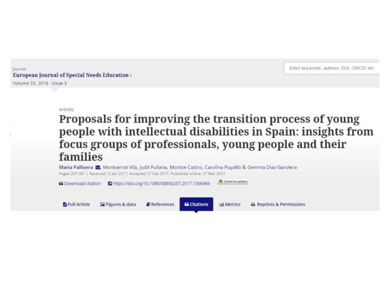 Proposals for improving the transition process of young people with intellectual disabilities in Spain: insights from focus groups of professionals, young people and their families”