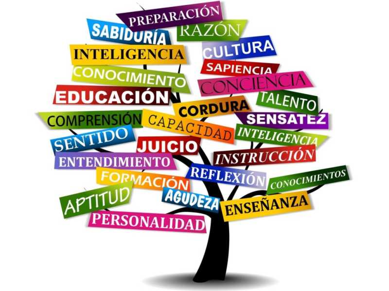 Innovació docent
