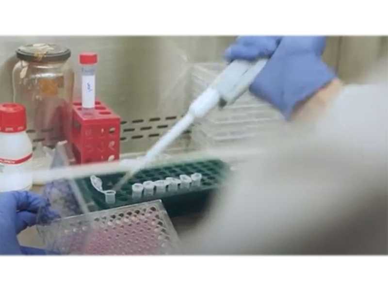 Assajos clínics: cap a una medicina més personalitzada