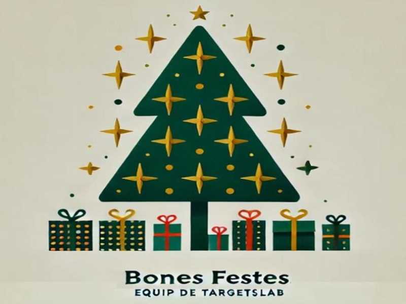 Els millors regals del Nadal de Targetslab