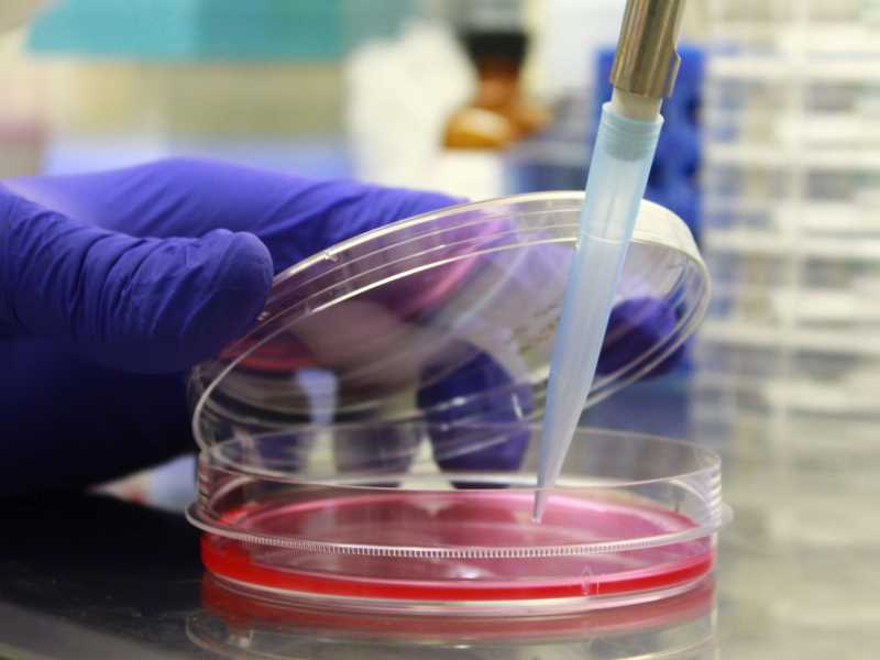 Nous investigadors a Targetslab