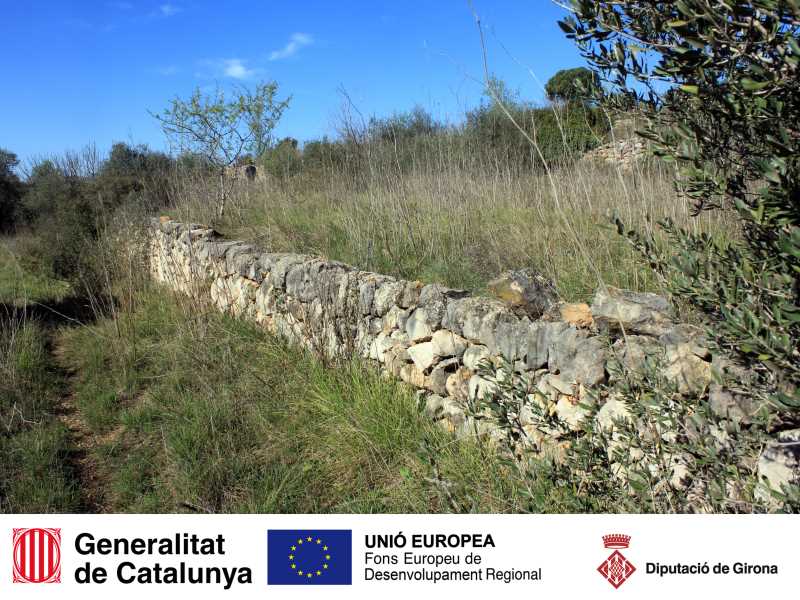 PECT - Biodiversitat del patrimoni de Pedra Seca