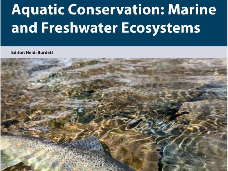 Conservation Challenges Under Taxonomic Uncertainty: Introgression Patterns and Environmental Correlates in Mediterranean Brown Trout