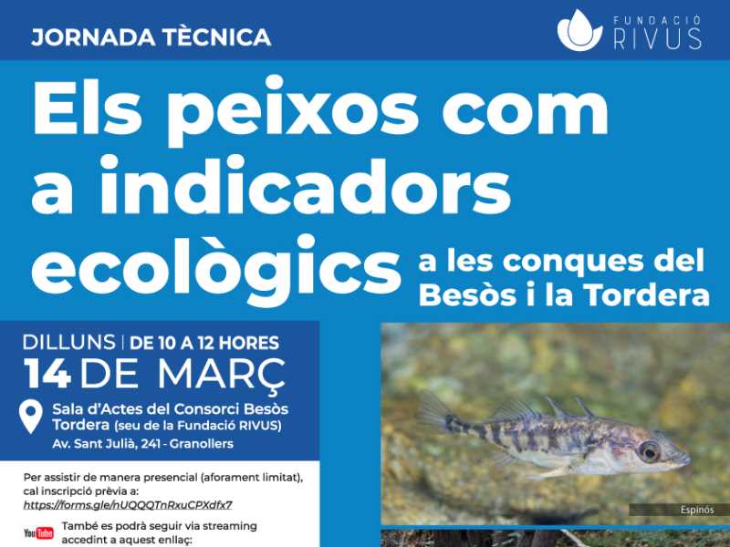 Jornada Tècnica: Els peixos com a indicadors ecològics a les conques del Besòs i la Tordera