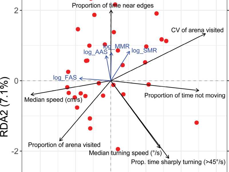 Figure 3. Redundancy analysis of the seven behavioural variables (black arrows) with metabolic traits (blue arrows) as constraints in toothcarp