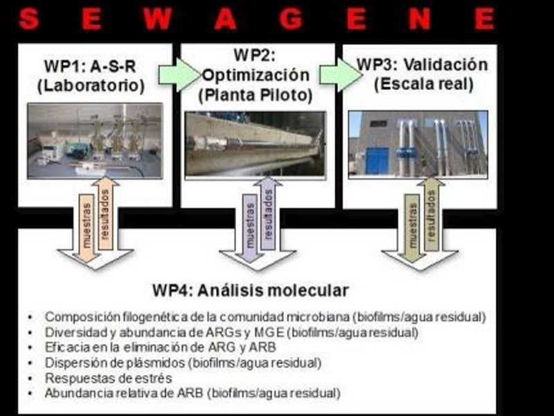 SEWAGENE